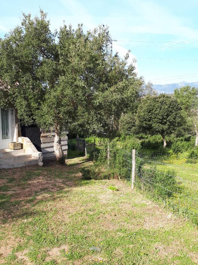 Casa Gattu Villa Порто-Векио Екстериор снимка