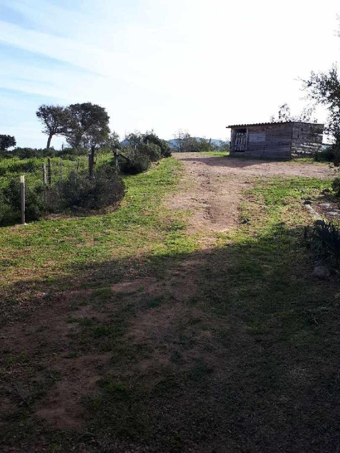 Casa Gattu Villa Порто-Векио Екстериор снимка