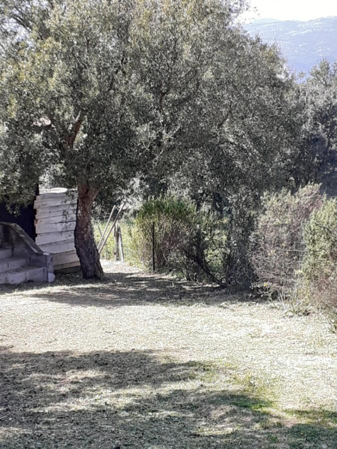 Casa Gattu Villa Порто-Векио Екстериор снимка