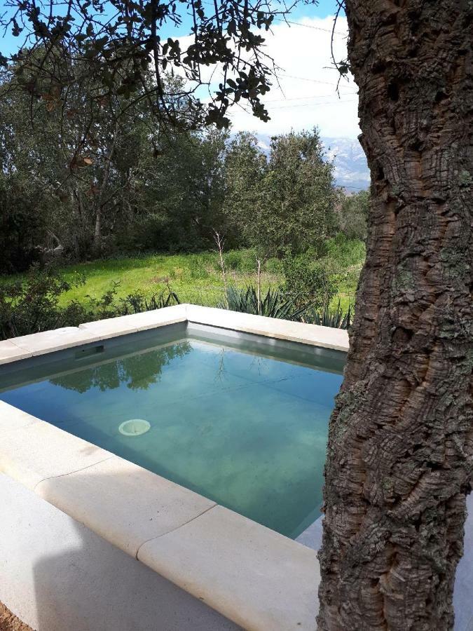 Casa Gattu Villa Порто-Векио Екстериор снимка